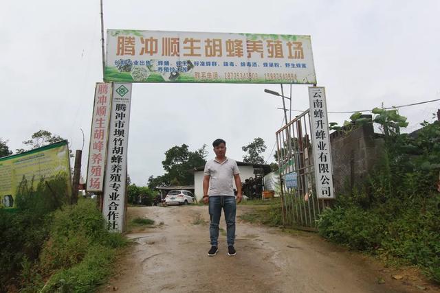 致富养殖胡蜂视频_致富养殖胡蜂视频大全_致富经胡蜂养殖