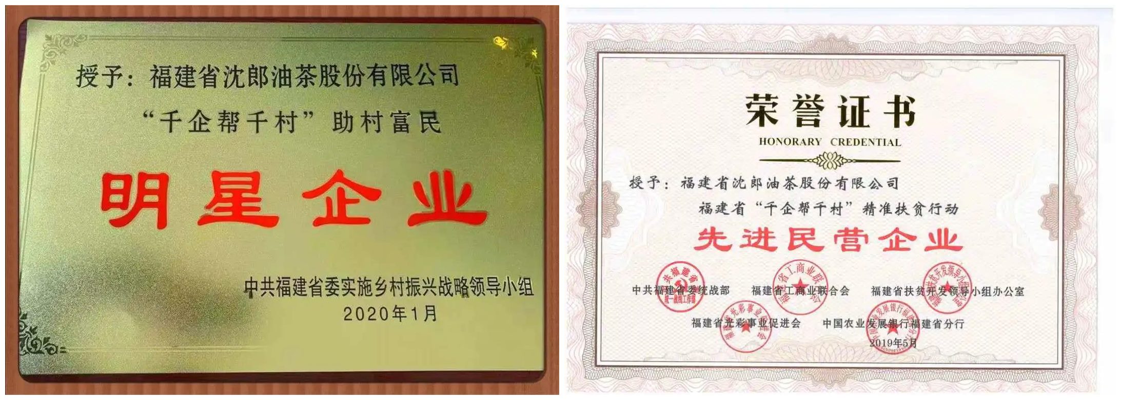 央视三农羊肚菌_中央农业频道致富经羊肚菌_央视七套致富经羊肚菌