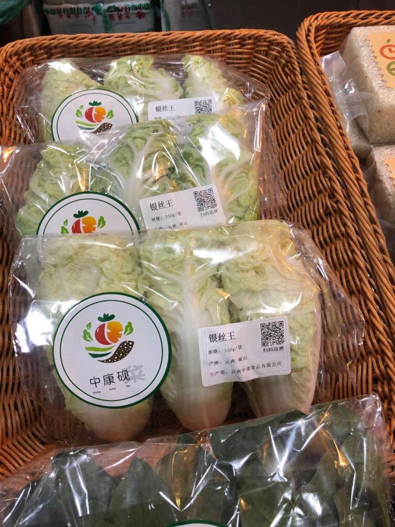 文山州砚山县：拇指黄瓜为何让上海老饕竖起大拇指