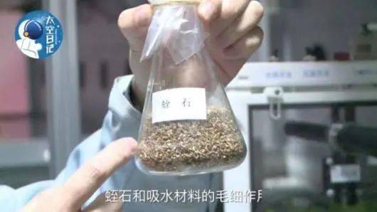 太空种植_太空中种植技术_太空育种植物