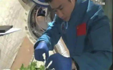 太空中种植技术_太空育种植物_太空种植