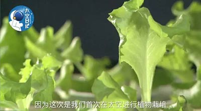 太空中种植技术_太空育种植物_太空种植技术中心是什么