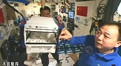 太空种植技术中心是什么_太空育种植物_太空中种植技术