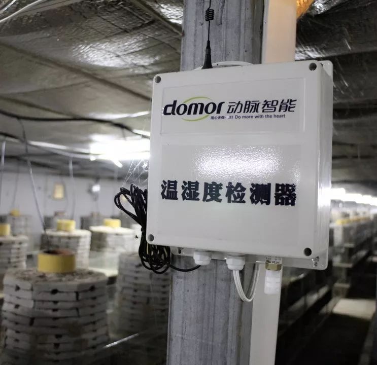 蝎子养殖技术冬天视频教学_蝎子养殖冬天咋弄_蝎子养殖技术视频大全