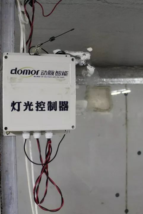 蝎子养殖冬天咋弄_蝎子养殖技术视频大全_蝎子养殖技术冬天视频教学