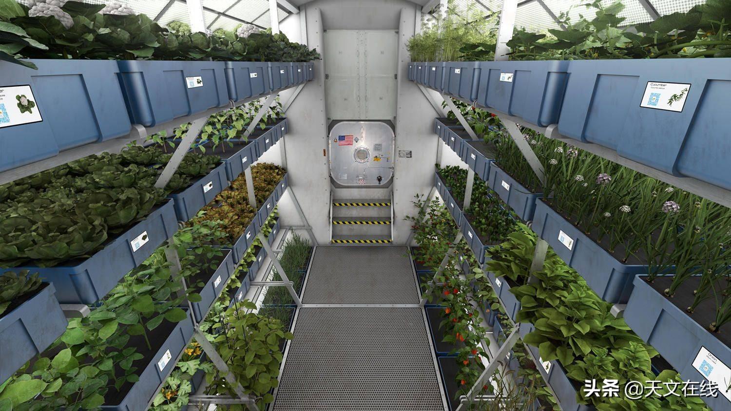 太空种植技术中心是什么_太空中种植技术_太空种植