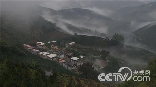 放弃一夜暴富的念想之后