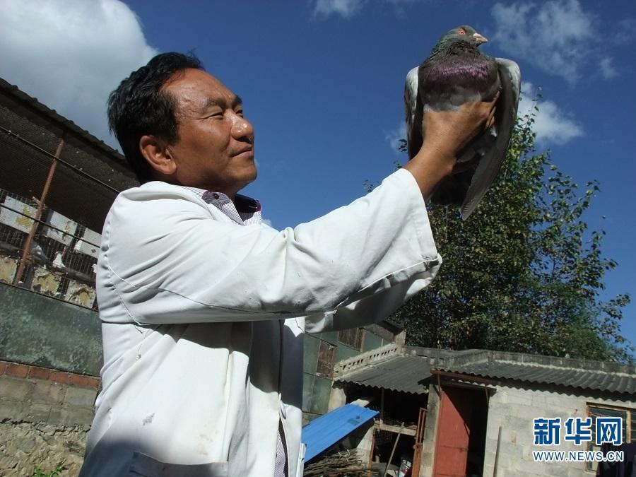 致富经养鸽视频_致富经信鸽养殖视频_视频致富养殖信鸽是真的吗