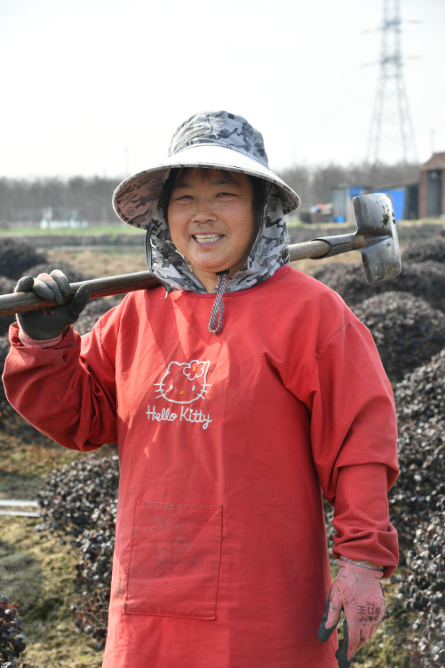 草莓种植致富女能人_种草莓发家致富_种草莓的女人