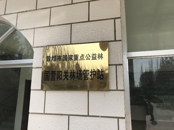 敦煌种植致富项目_敦煌种业有什么好种子_敦煌种植业