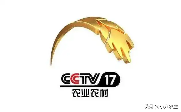 致富经宋汝祥_致富经宋汝祥_致富经宋汝祥