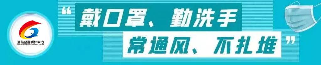 羊角葱能移栽吗_致富葱种植羊角草视频_羊角葱种植致富