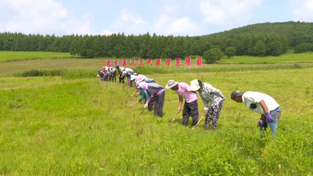 草原农民种植致富_致富种植农民草原的句子_致富种植农民草原的意义