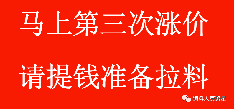 豆粕直奔6000元↑不要再买便宜饲料！小心上当受骗