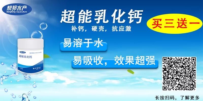 大闸蟹的养殖技术_养殖大闸蟹技术要点_养殖大闸蟹技术视频