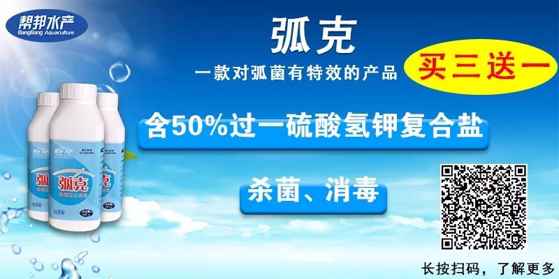 大闸蟹的养殖技术_养殖大闸蟹技术要点_养殖大闸蟹技术视频