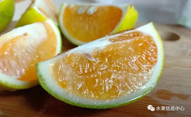 橙子种植致富_橙子种植_致富橙子种植方法