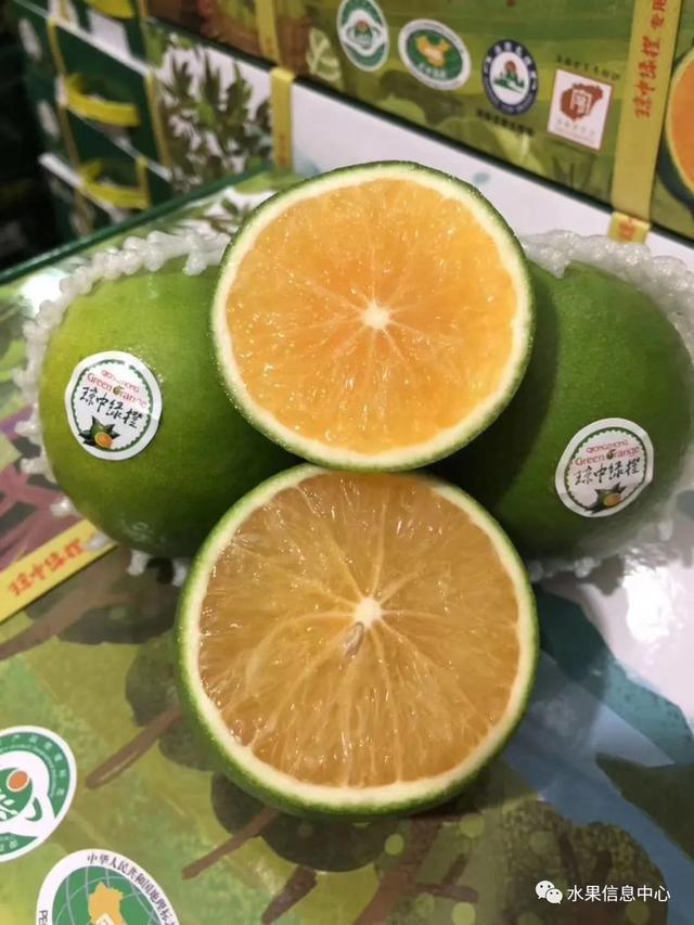橙子种植致富_橙子种植_致富橙子种植方法