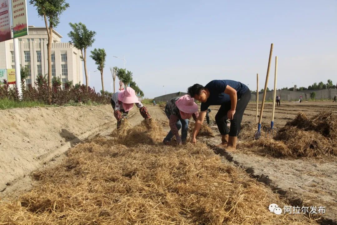 小康路种植致富_致富奔小康_致富与小康