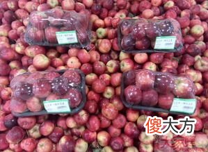 龙丰果是不是沙果