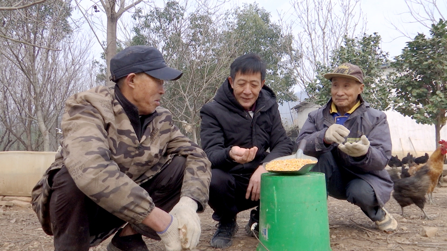 【代表委员风采】袁源：小乌鸡养成大产业 助力群众增收致富
