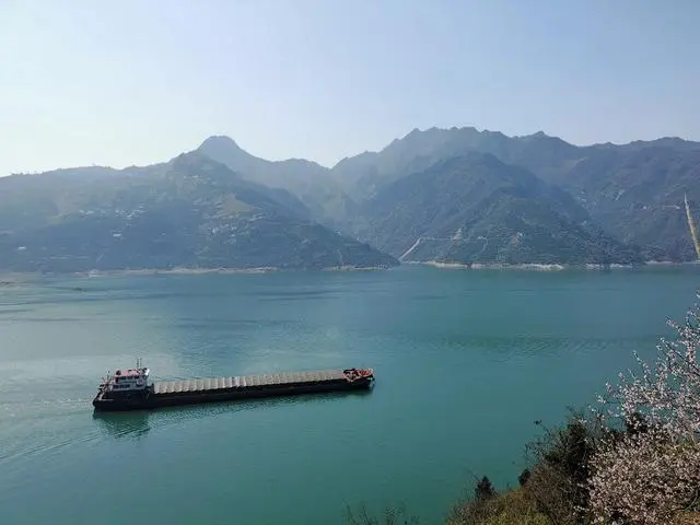 致富橙子种植方法_致富橙子种植条件_橙子种植致富