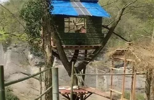 养殖花毛豚收益与销售_养殖花毛豚_致富经花毛豚