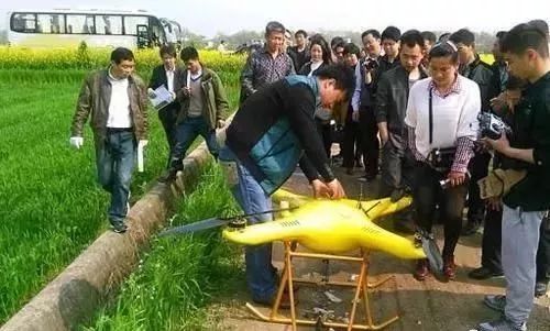 养殖花毛豚收益与销售_致富经花毛豚_养殖花毛豚