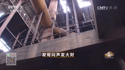 致富经养殖马峰致富_致富经养马蜂_致富养殖信息