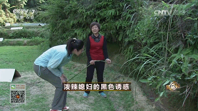 致富经养殖马峰致富_致富经养马蜂_致富养殖信息