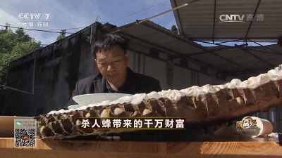 致富养殖信息_致富经养马蜂_致富经养殖马峰致富