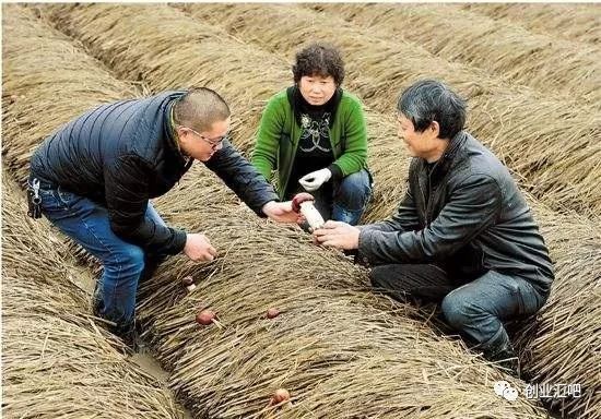农村致富项目养殖业_致富经农业养殖视频_农村家庭养殖业致富经验
