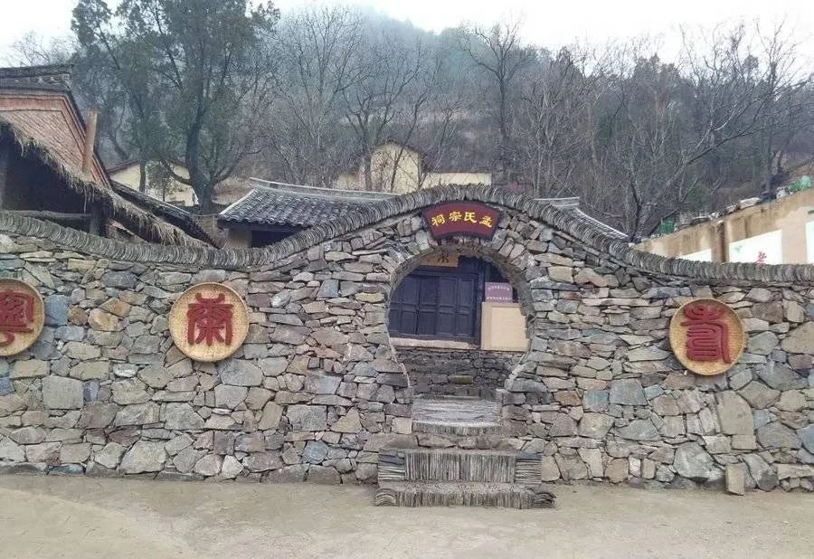 陕西桔梗产区_陕西桔梗种植致富_种植桔梗效益如何