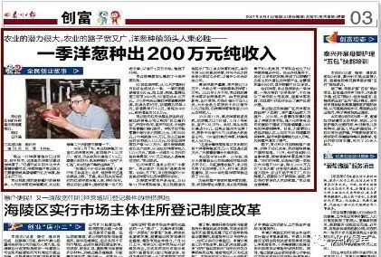兴化一64岁农民种洋葱8个月净赚200万元!