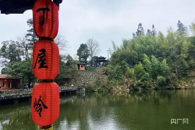 致富屋内养殖视频大全_致富屋内养殖视频_屋内养殖致富