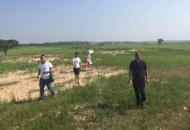 90后小伙创业种植苗木-600亩地种下致富梦想