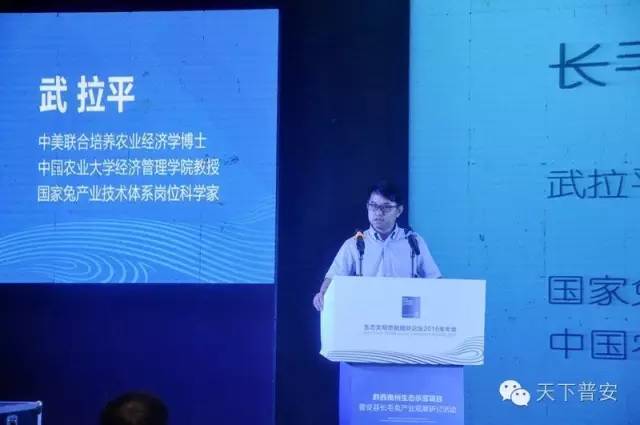 致富养兔子_致富经长毛兔养殖视频_长毛兔养殖致富经