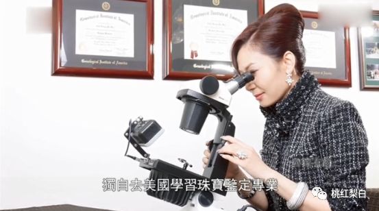 致富的歌曲_致富经歌星_致富明星