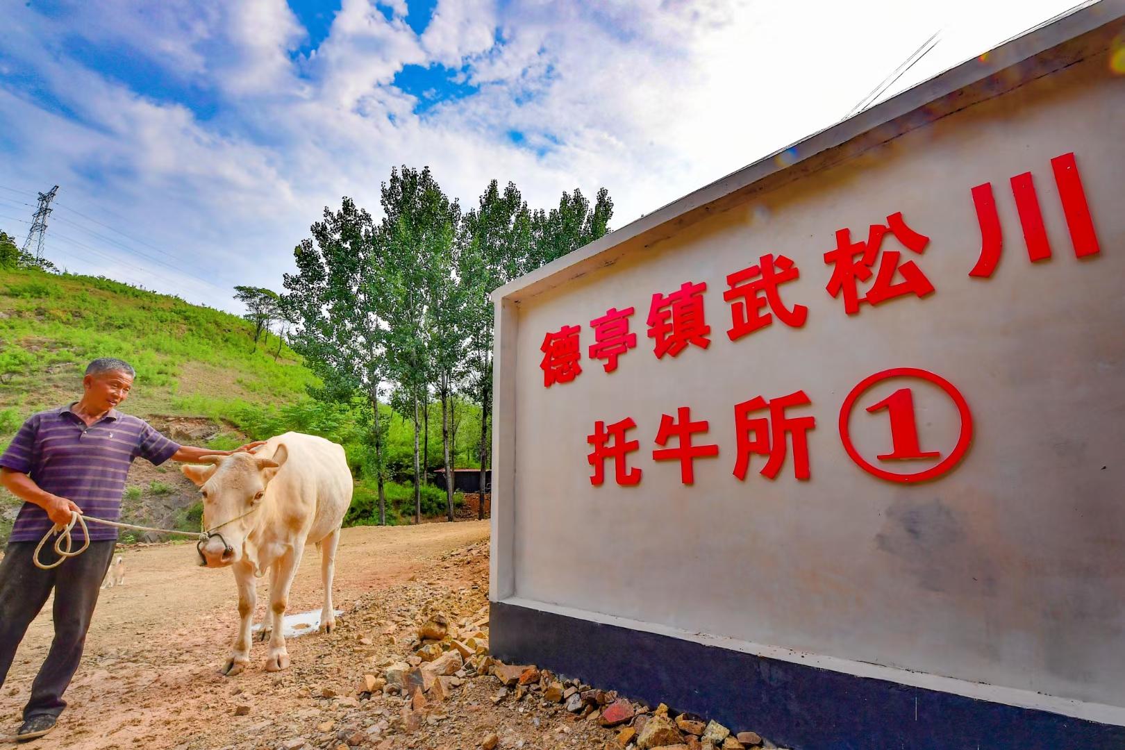 致富养殖业_致富养殖河南项目有哪些_河南养殖致富项目