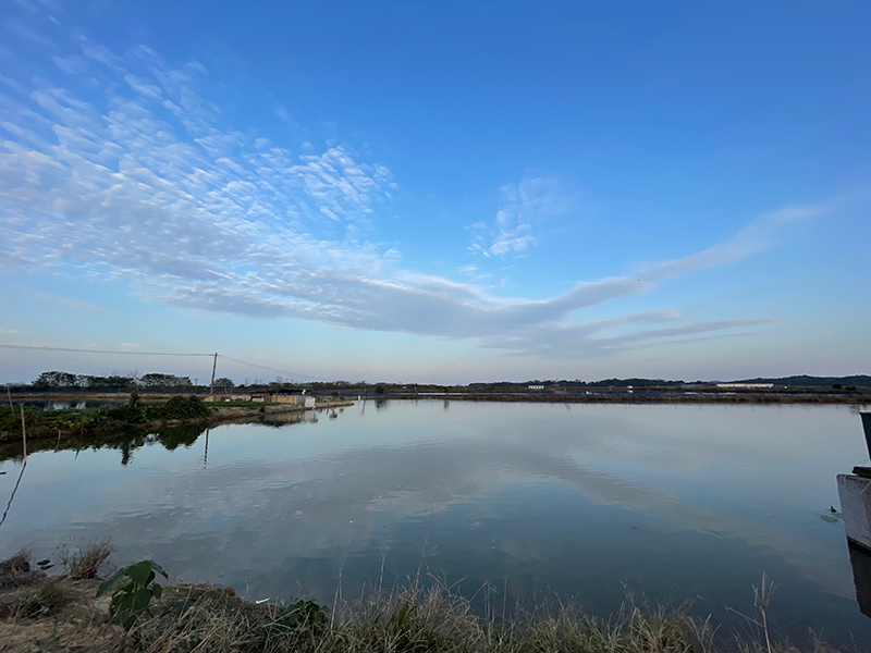 乡村养殖产业振兴案例_乡村振兴养殖致富_乡村振兴养殖业的发展前景