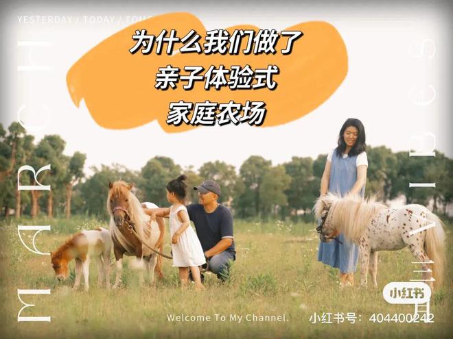 湛江种植什么药材最赚钱_湛江地区适合种植水果_湛江哪里种植致富