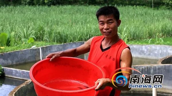 大刺鳅鱼养殖技术_养殖鱼技术大刺鳅视频_大刺鳅饲料配方