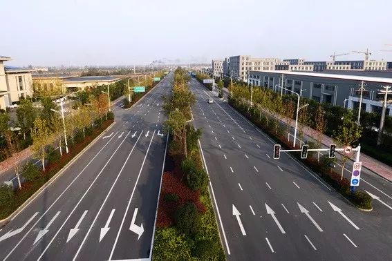 适合安徽种植的花卉_安徽养花基地_安徽花卉种植致富