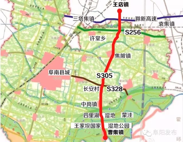 安徽花卉种植致富_安徽养花基地_适合安徽种植的花卉