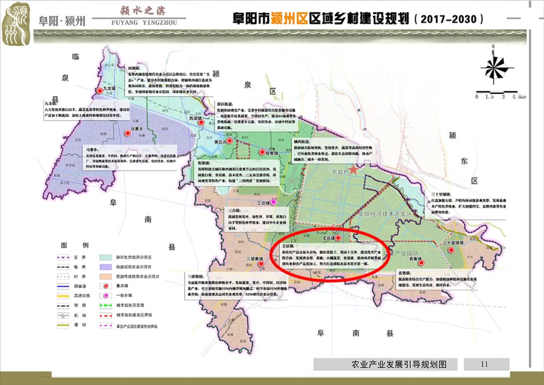 安徽花卉种植致富_适合安徽种植的花卉_安徽养花基地