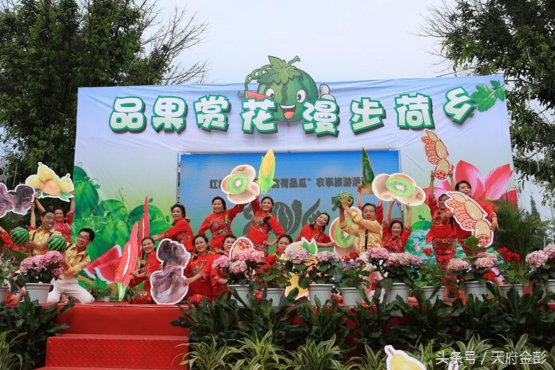种植笋致富_种植笋的行情咋样_竹笋致富经