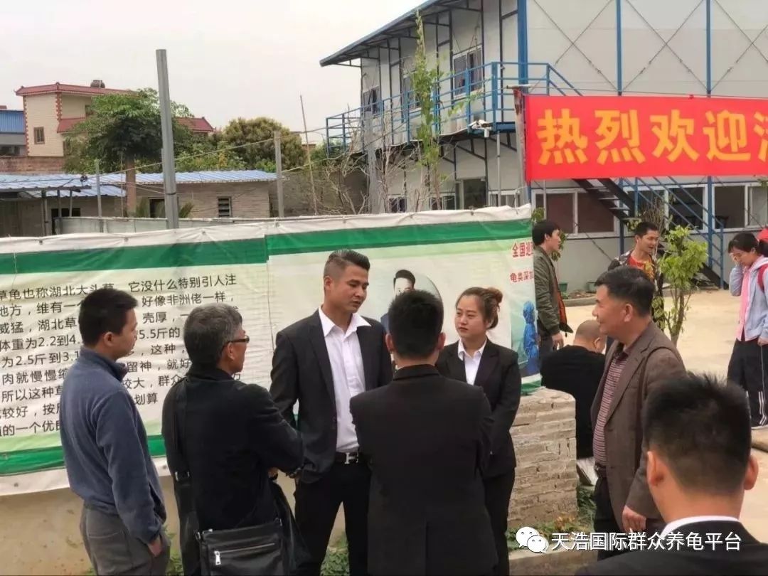 龟鳖养殖致富技术_龟鳖养殖与疾病防治_龟鳖高效养殖技术图解与实例