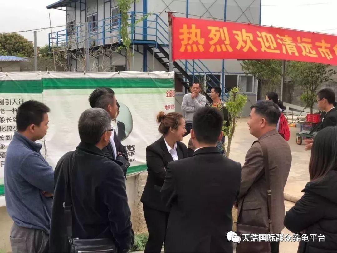 龟鳖养殖与疾病防治_龟鳖高效养殖技术图解与实例_龟鳖养殖致富技术