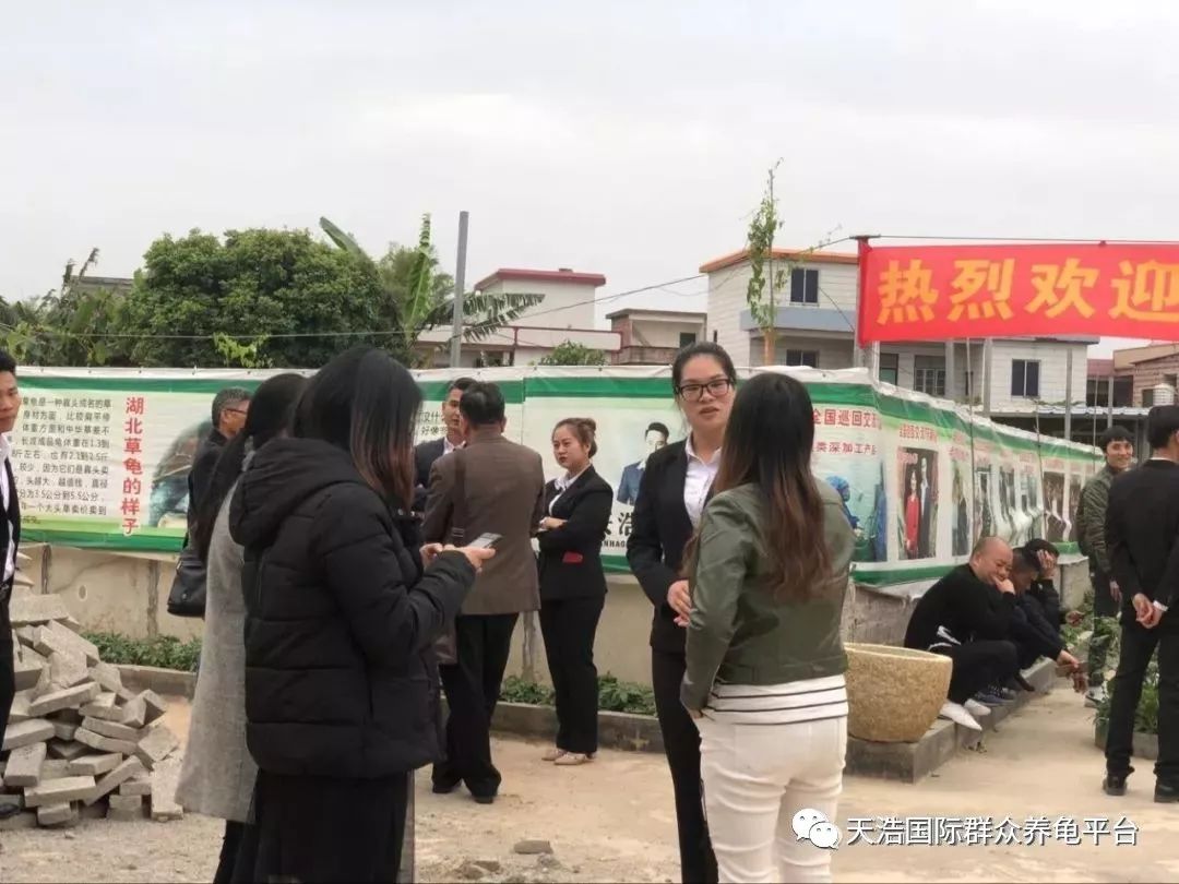 龟鳖高效养殖技术图解与实例_龟鳖养殖致富技术_龟鳖养殖与疾病防治