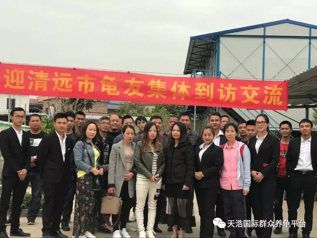 龟鳖养殖与疾病防治_龟鳖养殖致富技术_龟鳖高效养殖技术图解与实例